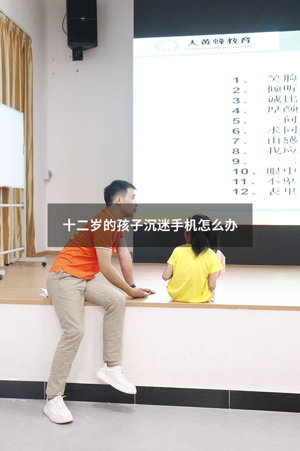 十二岁的孩子沉迷手机怎么办