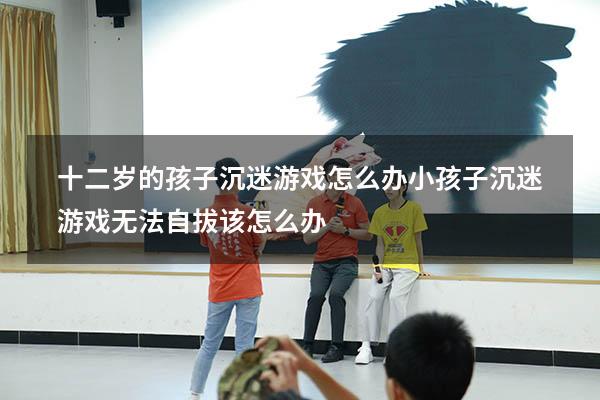十二岁的孩子沉迷游戏怎么办（小孩子沉迷游戏无法自拔该怎么办）