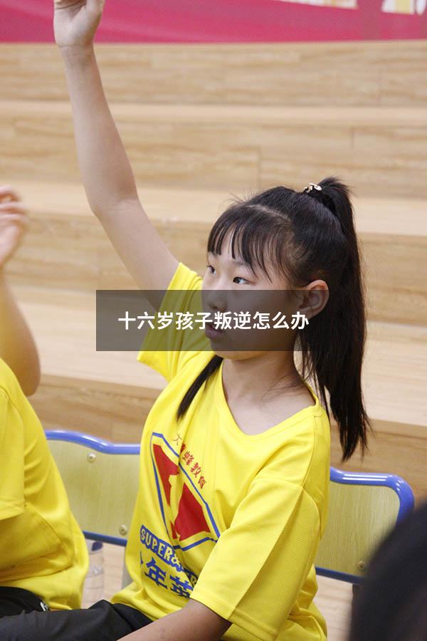 十六岁孩子叛逆怎么办