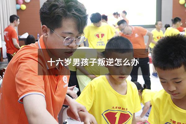 十六岁男孩子叛逆怎么办