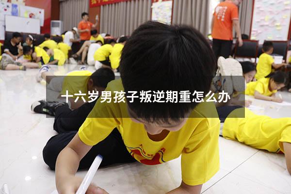 十六岁男孩子叛逆期重怎么办