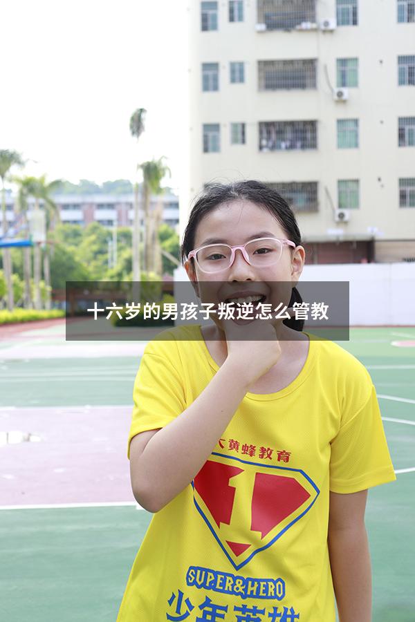 十六岁的男孩子叛逆怎么管教（16岁孩子叛逆期怎么管教最合适）