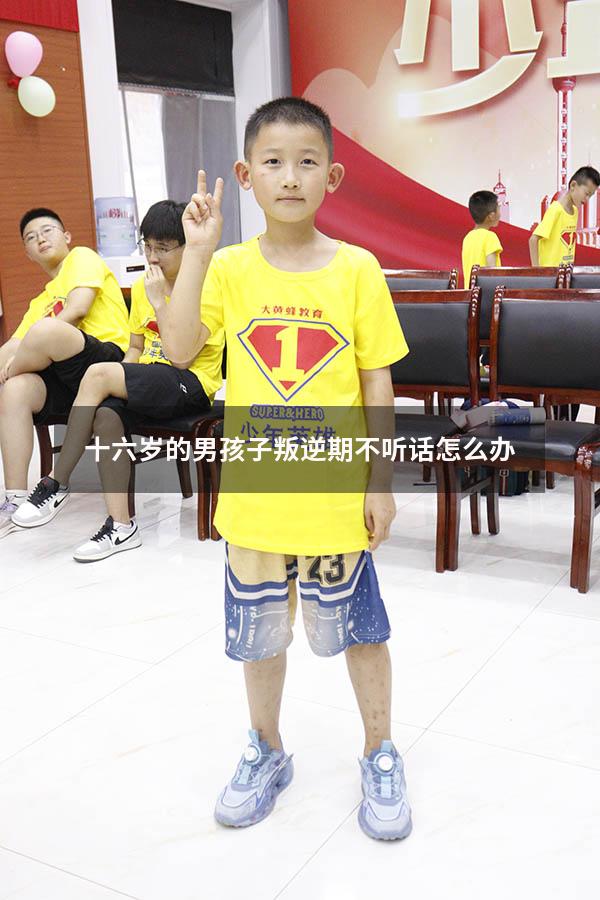 十六岁的男孩子叛逆期不听话怎么办
