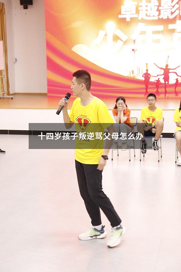 十四岁孩子叛逆骂父母怎么办（15岁儿子叛逆期严重怎么办）