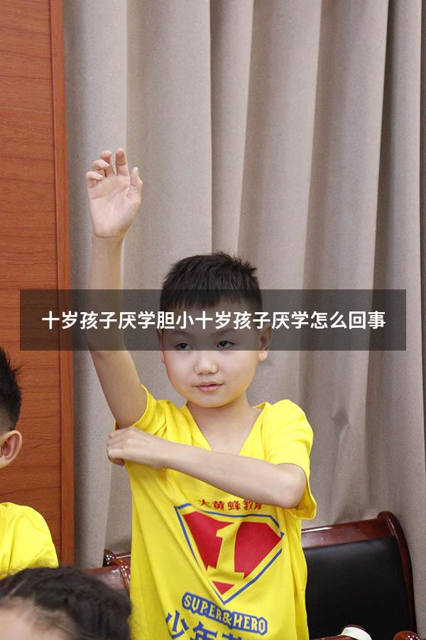 十岁孩子厌学胆小（十岁孩子厌学怎么回事）