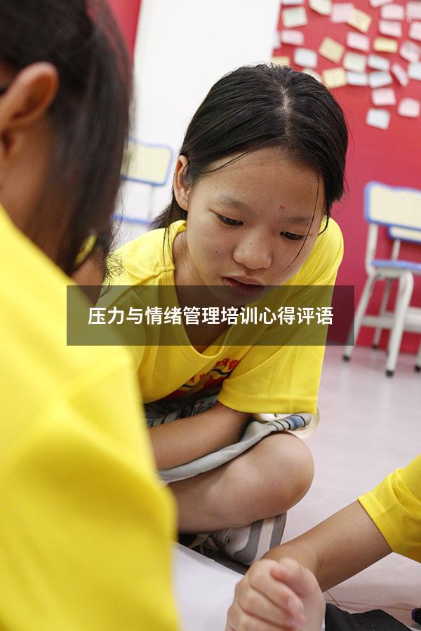 压力与情绪管理培训心得评语