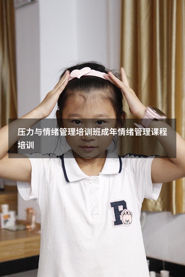 压力与情绪管理培训班（成年情绪管理课程培训）