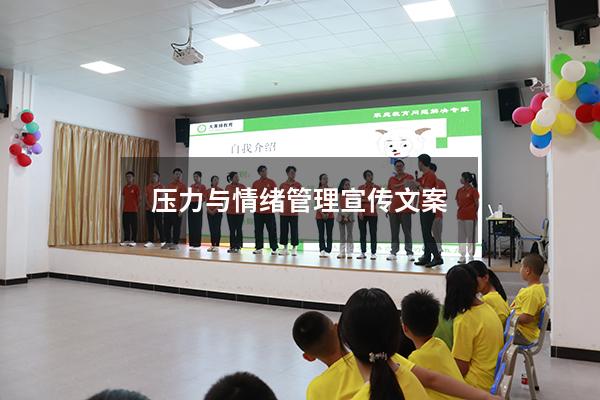 压力与情绪管理宣传文案