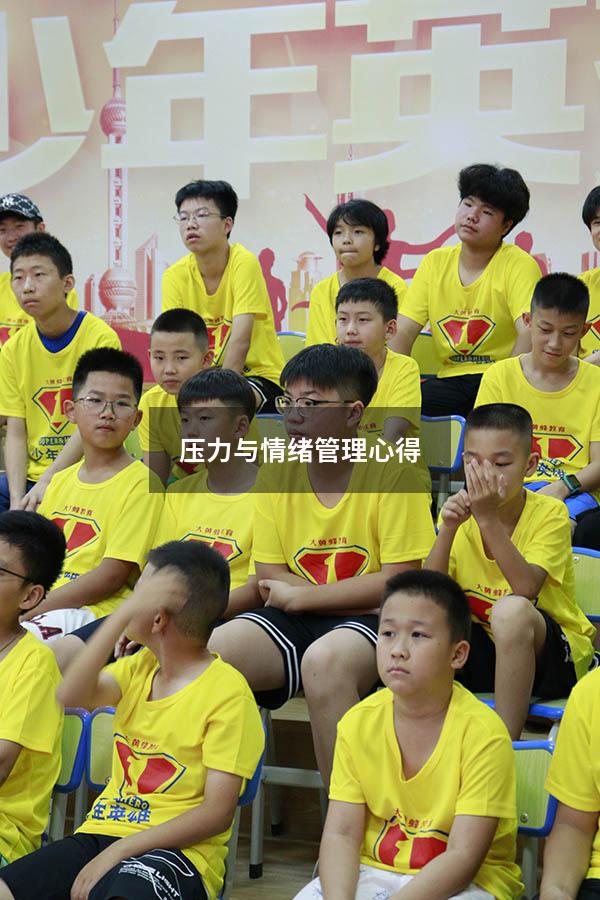 压力与情绪管理心得