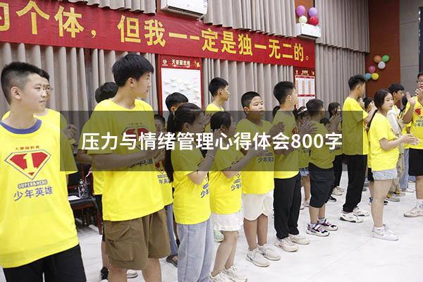 压力与情绪管理心得体会800字