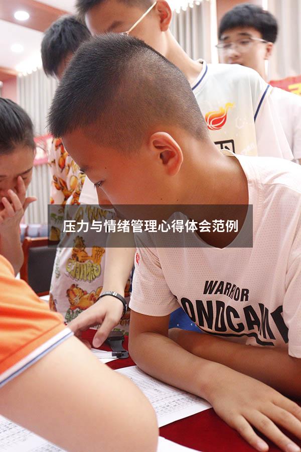 压力与情绪管理心得体会范例