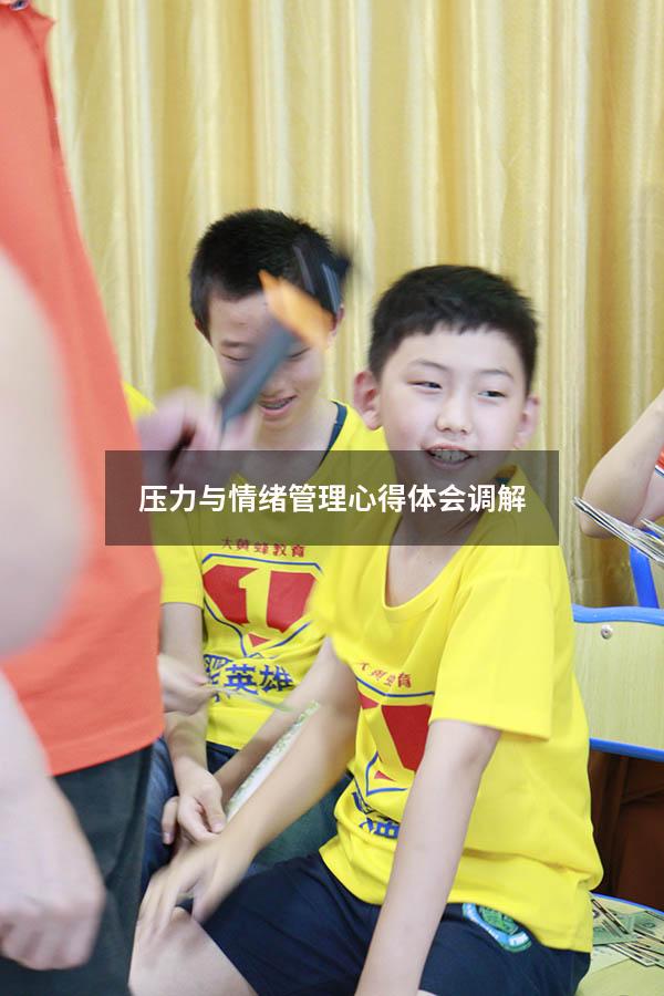 压力与情绪管理心得体会调解