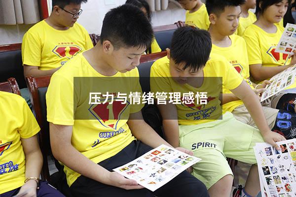压力与情绪管理感悟500