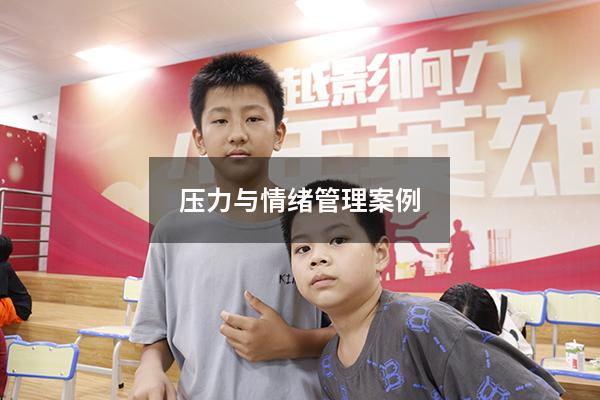 压力与情绪管理案例