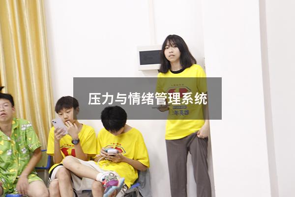 压力与情绪管理系统