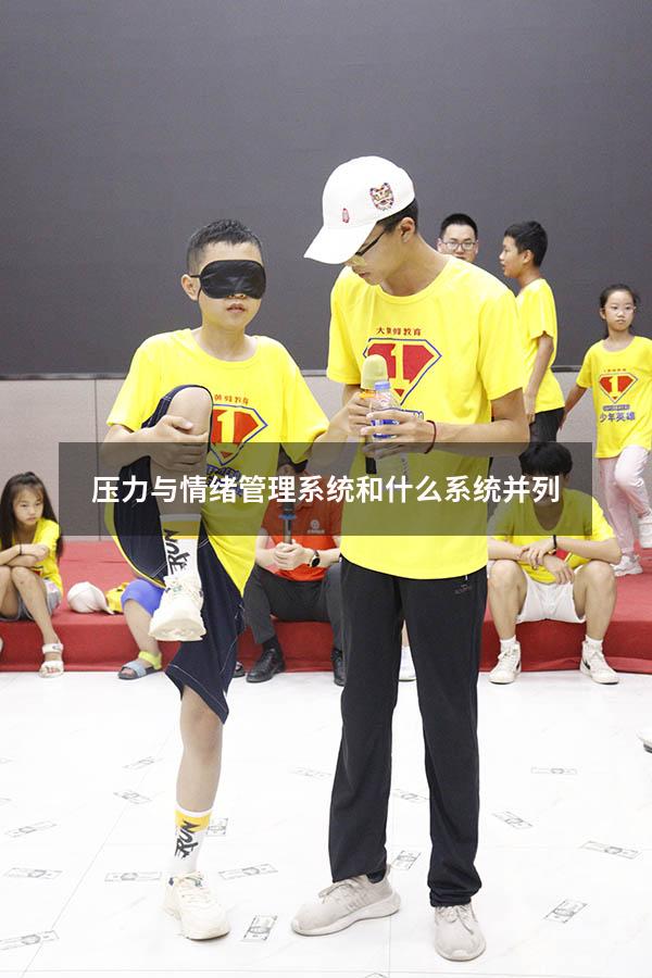 压力与情绪管理系统和什么系统并列