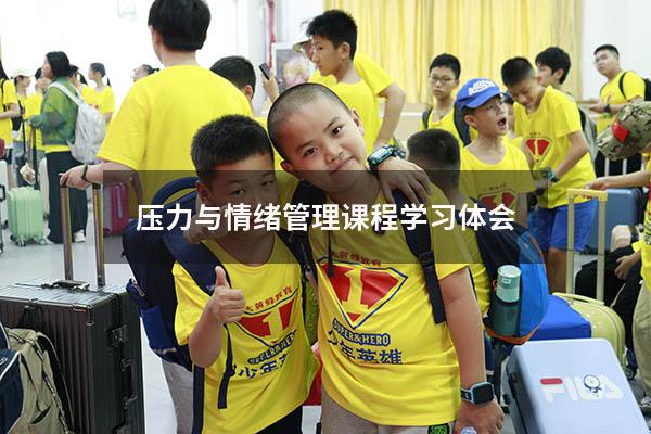 压力与情绪管理课程学习体会