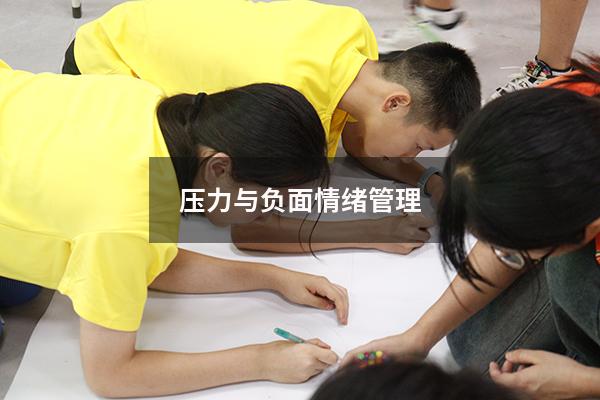 压力与负面情绪管理