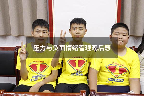压力与负面情绪管理观后感