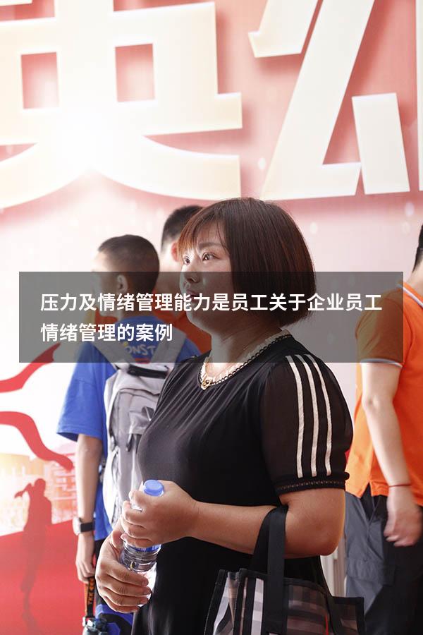 压力及情绪管理能力是员工（关于企业员工情绪管理的案例）