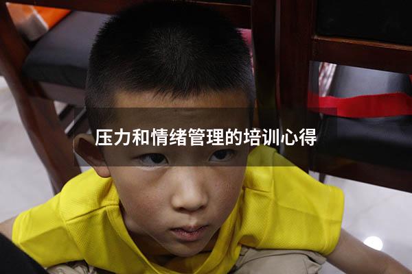 压力和情绪管理的培训心得