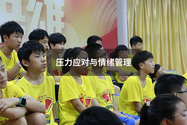 压力应对与情绪管理11