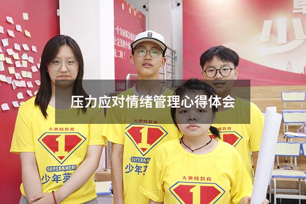 压力应对情绪管理心得体会