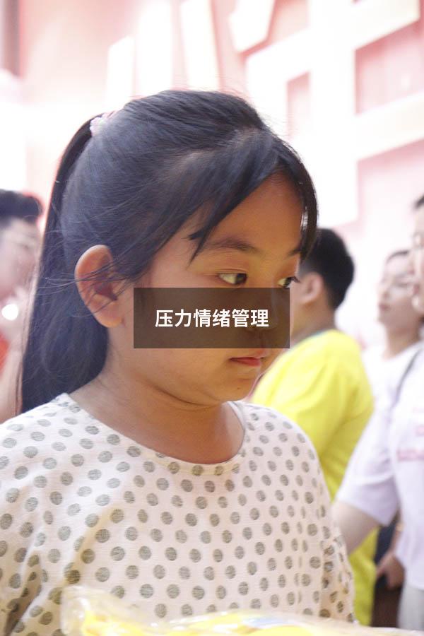 压力情绪管理