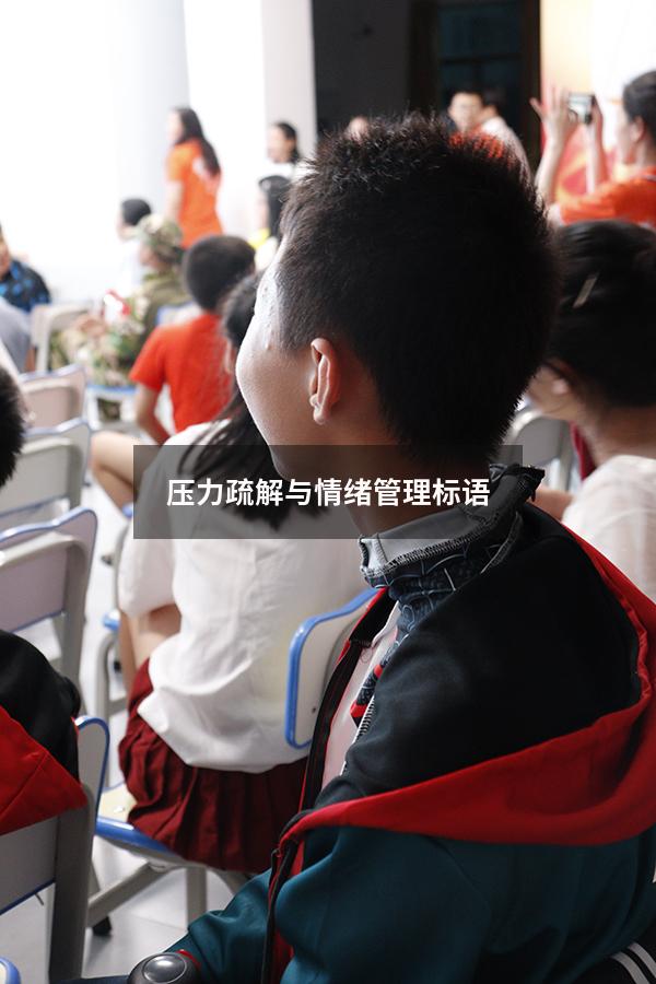 压力疏解与情绪管理标语