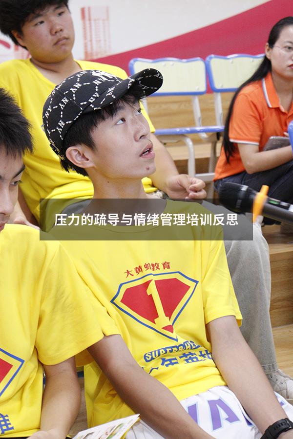 压力的疏导与情绪管理培训反思