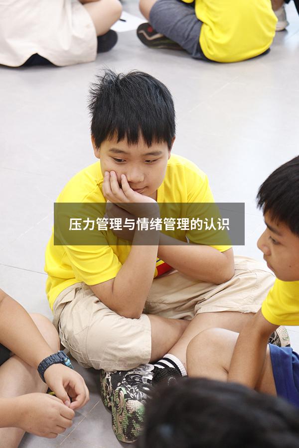 压力管理与情绪管理的认识