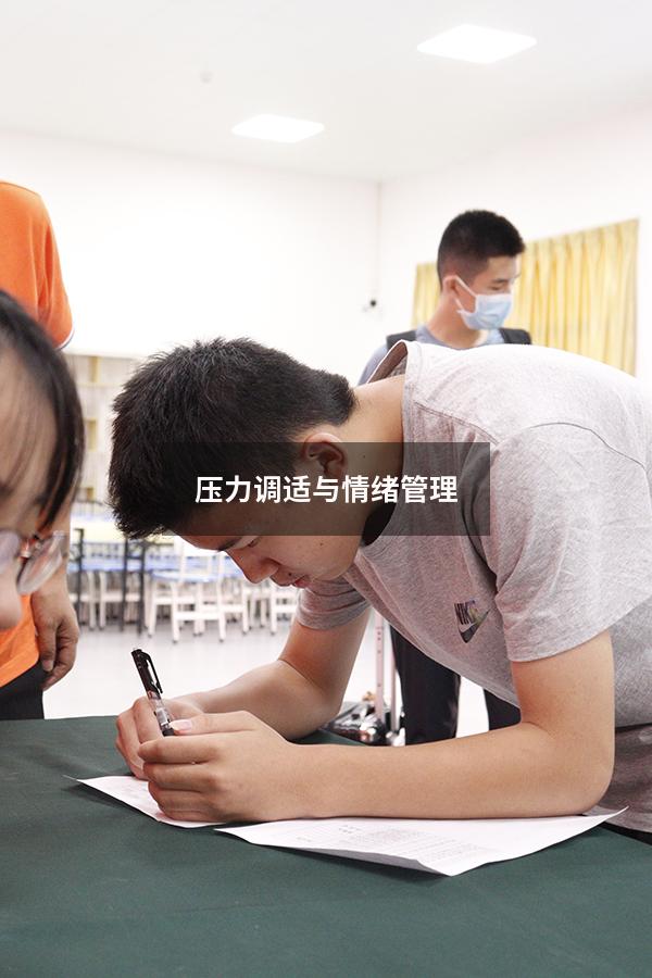 压力调适与情绪管理