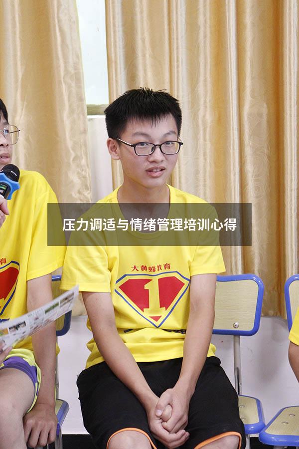 压力调适与情绪管理培训心得