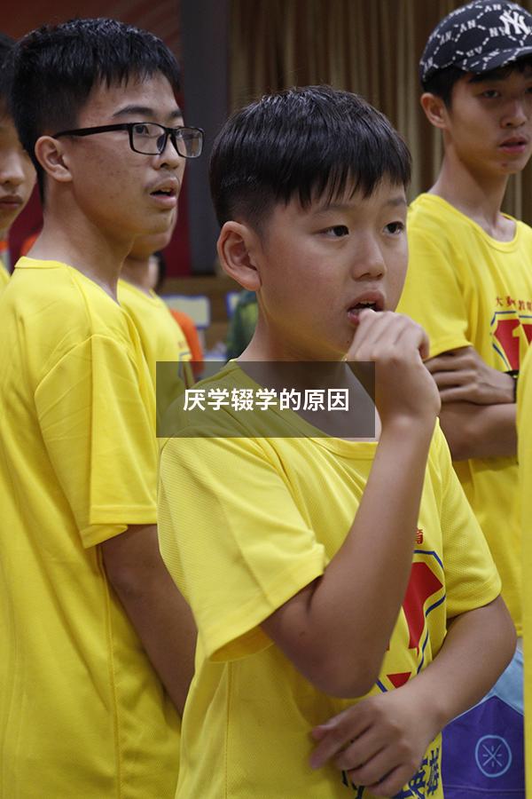 厌学辍学的原因