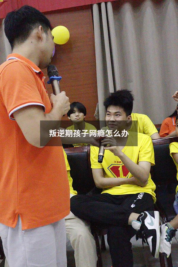 叛逆期孩子网瘾怎么办