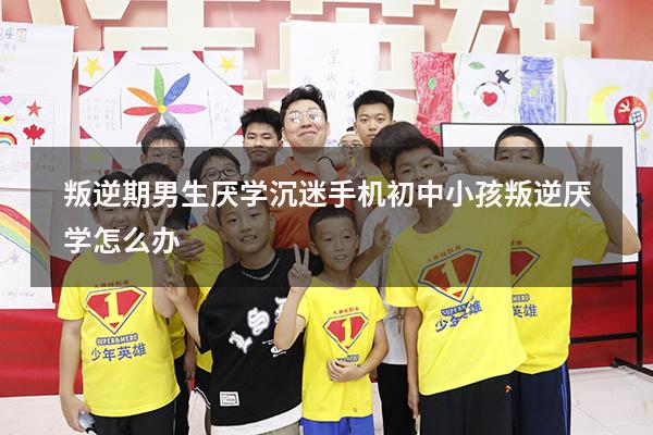 叛逆期男生厌学沉迷手机（初中小孩叛逆厌学怎么办）
