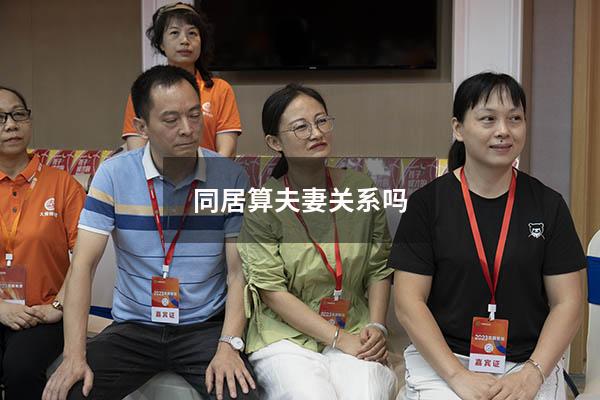 同居算夫妻关系吗