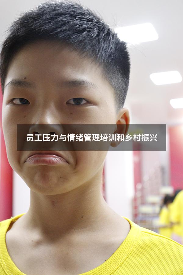 员工压力与情绪管理培训和乡村振兴