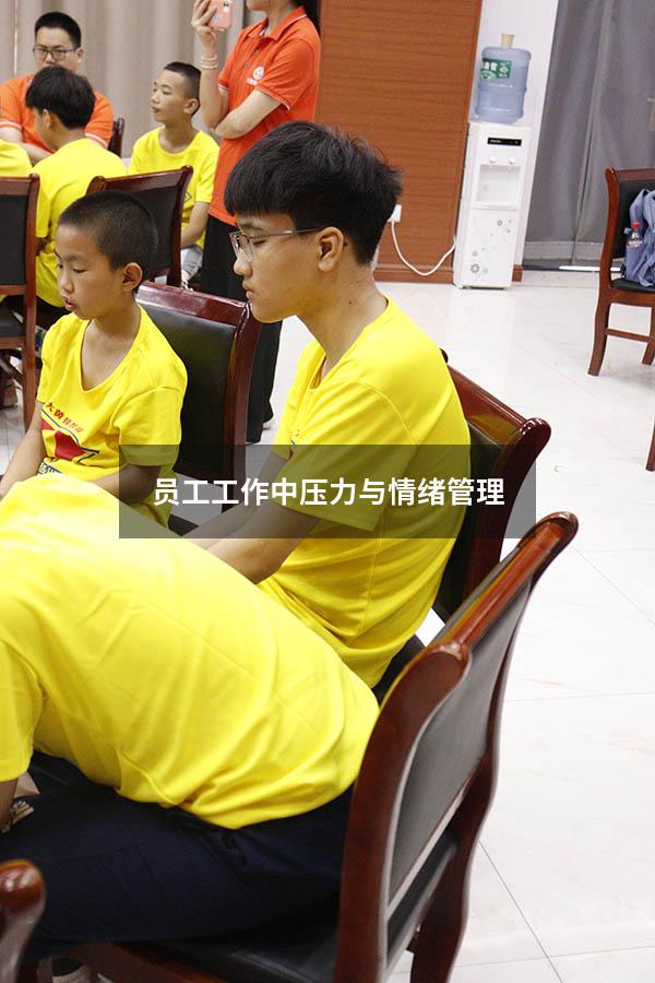 员工工作中压力与情绪管理