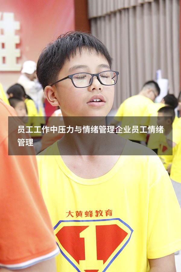 员工工作中压力与情绪管理（企业员工情绪管理）