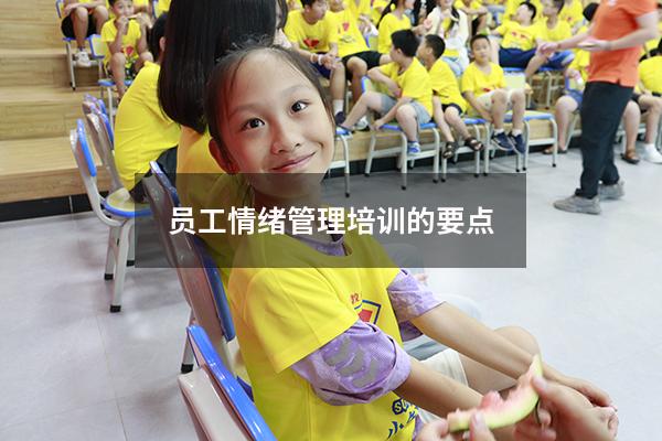 员工情绪管理培训的要点