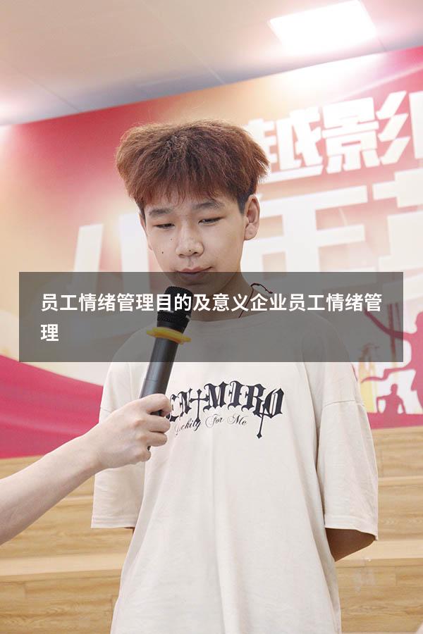 员工情绪管理目的及意义（企业员工情绪管理）
