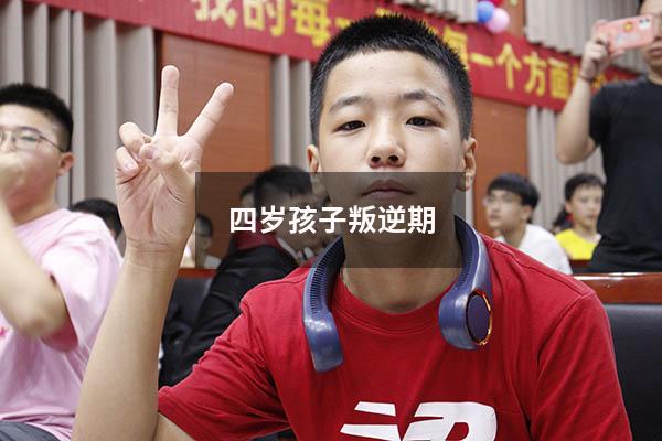 四岁孩子叛逆期7311