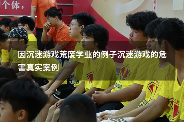 因沉迷游戏荒废学业的例子（沉迷游戏的危害真实案例）