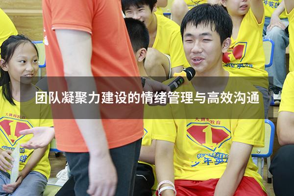 团队凝聚力建设的情绪管理与高效沟通