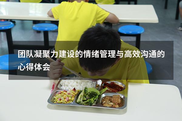 团队凝聚力建设的情绪管理与高效沟通的心得体会