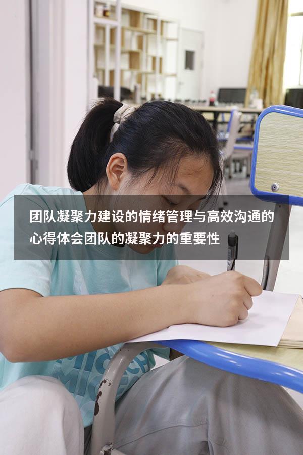 团队凝聚力建设的情绪管理与高效沟通的心得体会（团队的凝聚力的重要性）