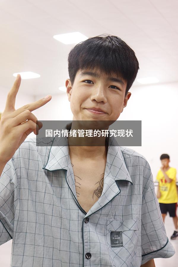 国内情绪管理的研究现状