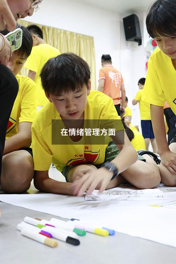 在情绪管理方面