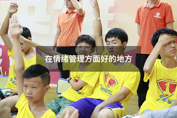在情绪管理方面好的地方